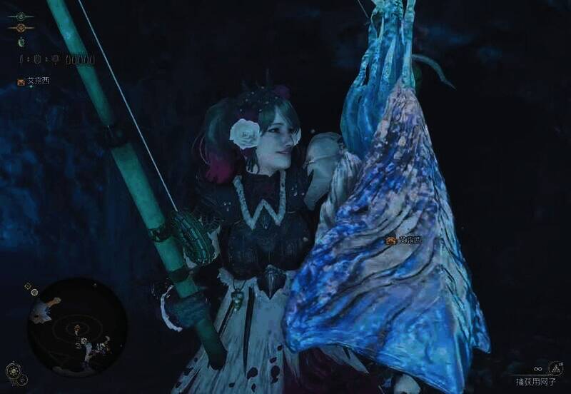 钓到瑰丽盾章菊螺