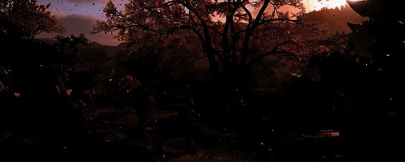 《刺客信条:影》世界地图相关画面