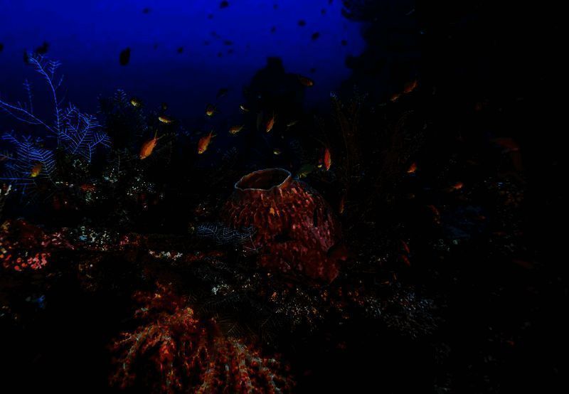 大堡礁美景配图