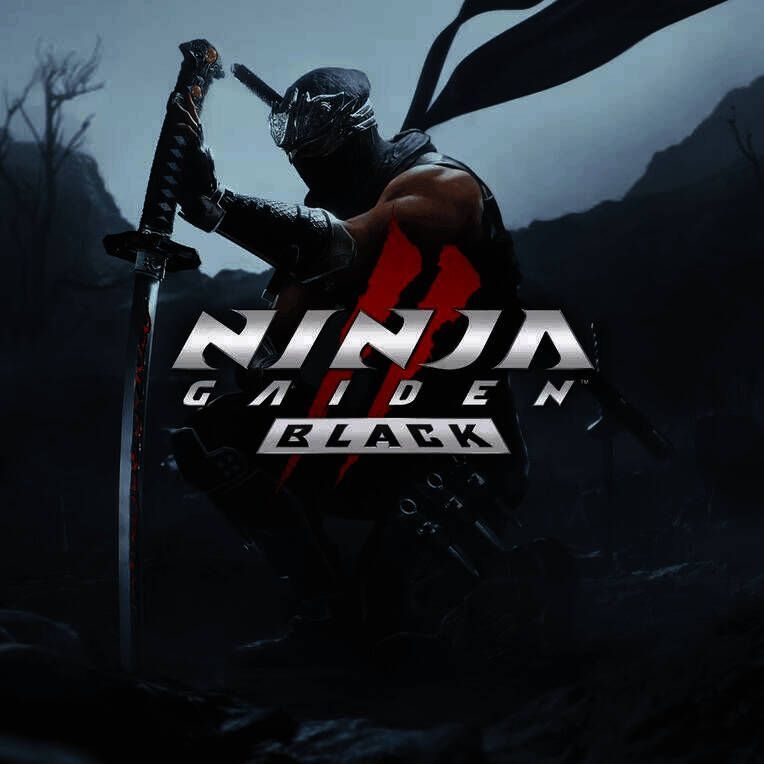 NINJA GAIDEN 2 Black游戏图片