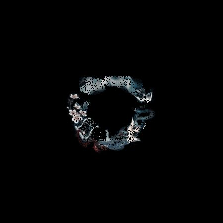 绘世花鸟卷典藏皮肤·鹤栖遥夕专属头像框