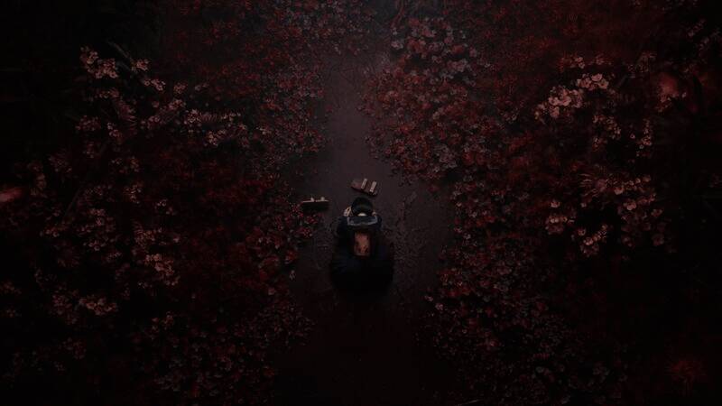 《寂静岭F》游戏画面2