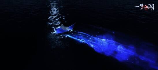 坐骑·蝠运齐天海上行驶展示图