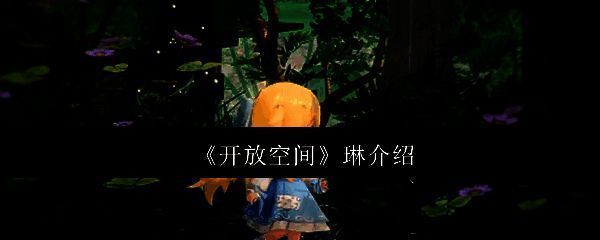 开放空间琳相关图片1