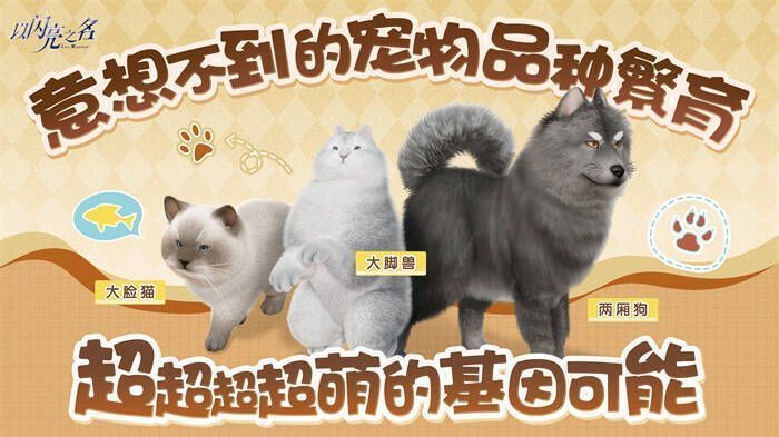 图11.jpg 《以闪亮之名》宠物系统相关画面