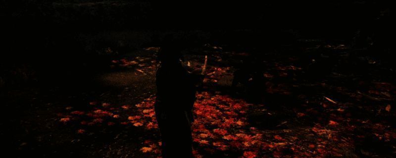 浪人崛起游戏画面