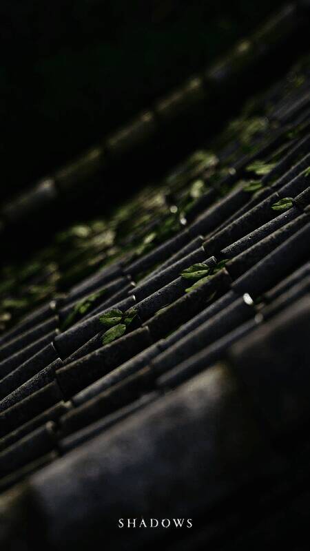 《刺客信条：影》手机壁纸3