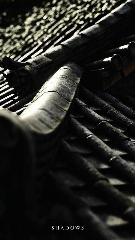 《刺客信条：影》手机壁纸4