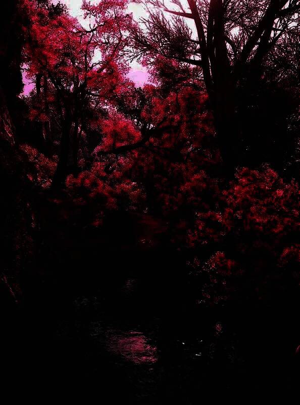 《刺客信条：影》手机壁纸9