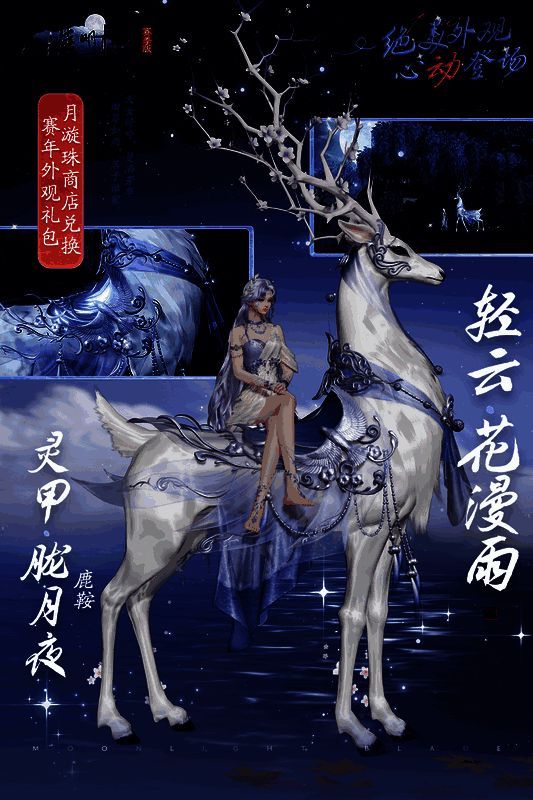 轻云·花漫雨与配套鞍具展示