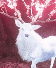 游戏画面相关图片1