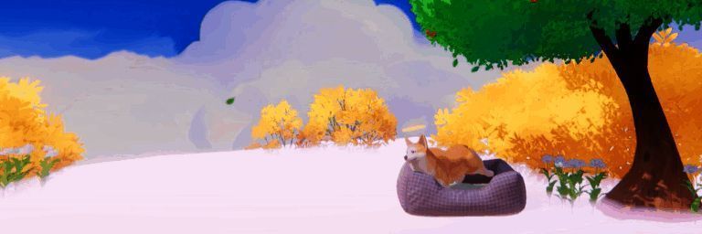 《我的小柯基》相关动图1