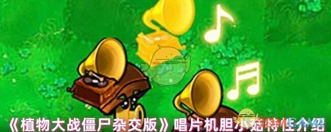 唱片机胆小菇相关图片1