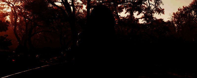 《刺客信条：影》相关图片1