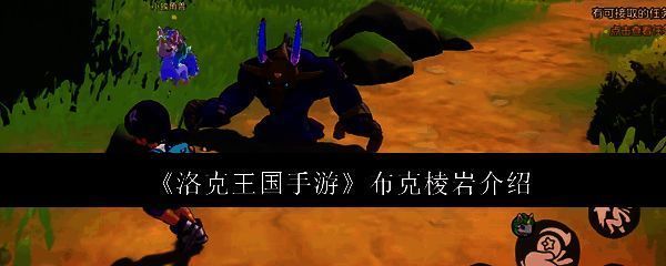 布克棱岩相关图片1