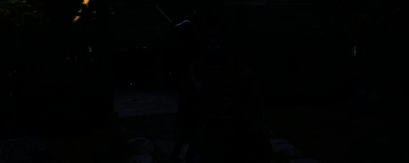 《刺客信条：影》相关画面