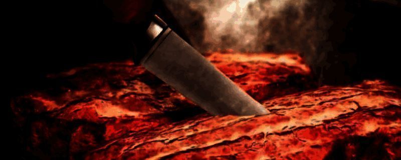 怪物猎人荒野相关图片