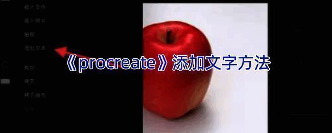 Procreate软件添加文字相关界面示例