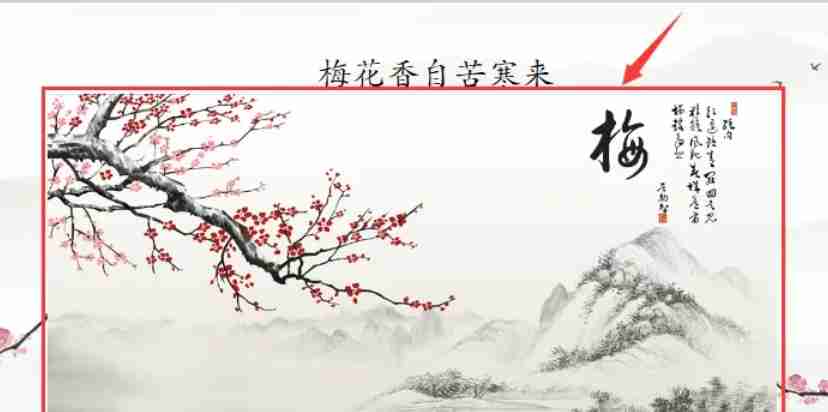 选中图片后显示可调整边框的示意图