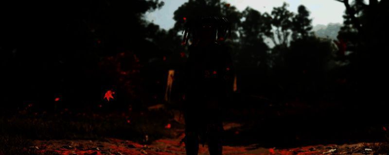 《刺客信条：影》相关画面