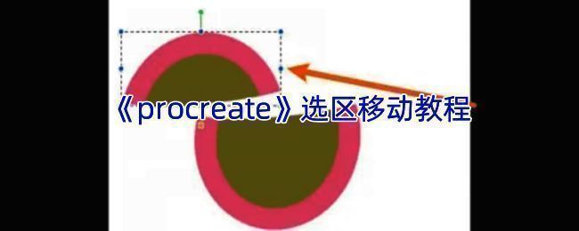 Procreate选区移动相关界面图1