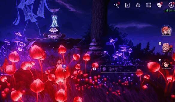 《鸣潮》幽夜幻梦任务中拿海苹果场景