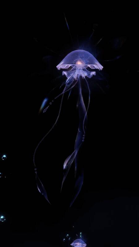 逆水寒万物有灵时装相关图片12