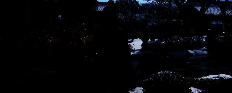 《刺客信条：影》相关图片1