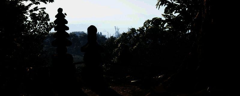 《刺客信条：影》游戏相关图片1