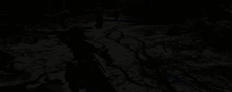 刺客信条影游戏相关画面