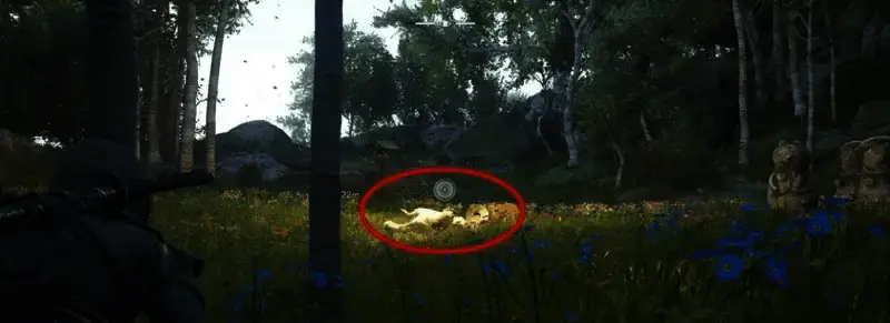 传奇白狸位置相关画面4