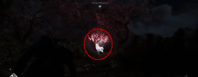 《刺客信条：影》相关图片5