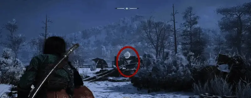 《刺客信条：影》传奇丹顶鹤相关画面3