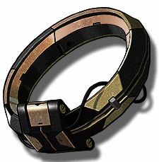 大世界敌人掉落改造镣环相关图片