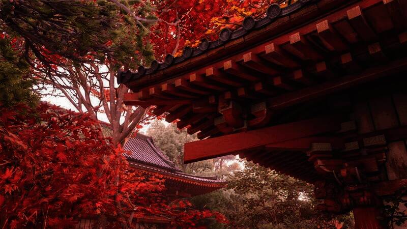 《刺客信条：影》游戏四季风景截图1