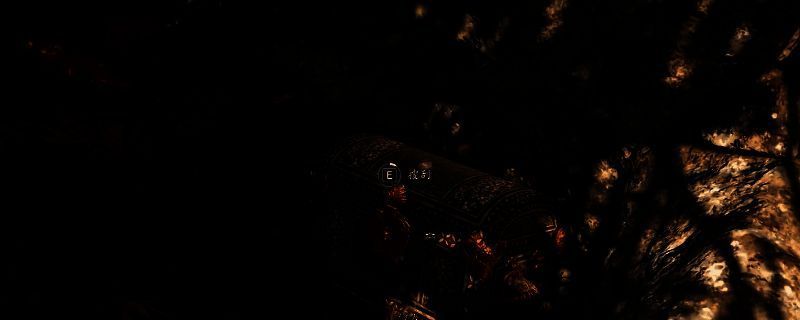 《刺客信条：影》相关画面