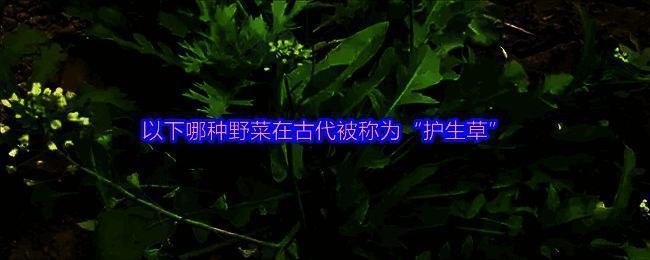 支付宝蚂蚁庄园相关图片