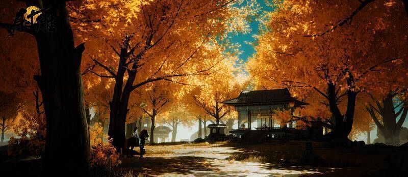 灵泉山的初熟杏黄景色