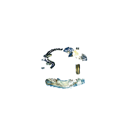 不见岳专属动态头像框云上景明动图