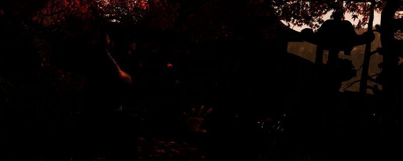 浪人崛起打刀相关游戏画面