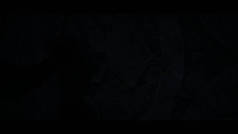 《刺客信条：影》游戏画面4