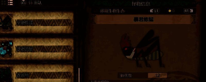 龙都遗迹相关画面