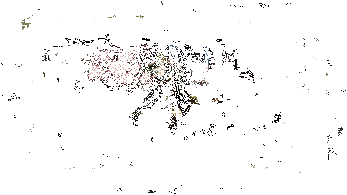 盗人神新皮肤动态图1