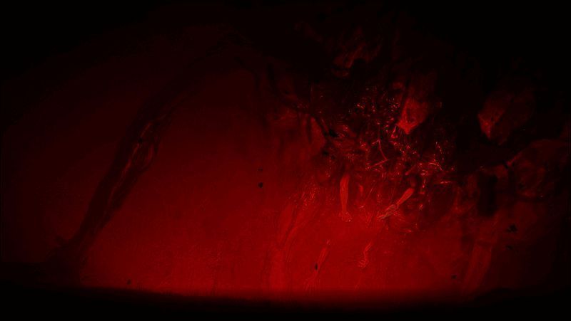 《七日世界》赛博克鲁苏式怪物画面