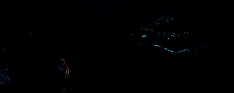 《怪物猎人：荒野》相关游戏画面