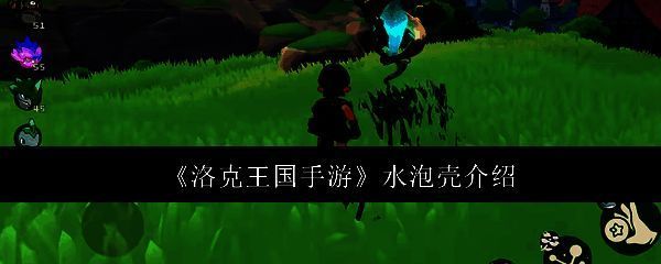 洛克王国手游水泡壳相关图片