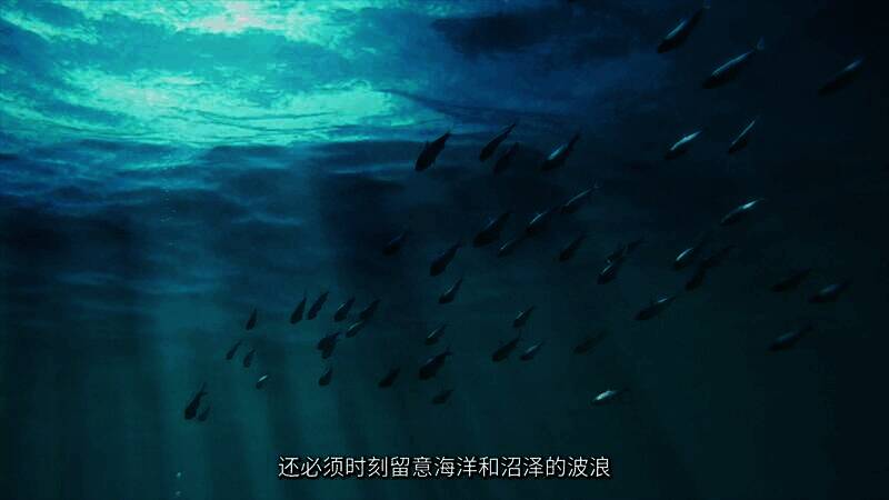 《怪物猎人》相关画面7