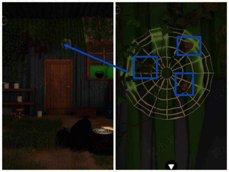 墙上蛛网及蜘蛛位置图