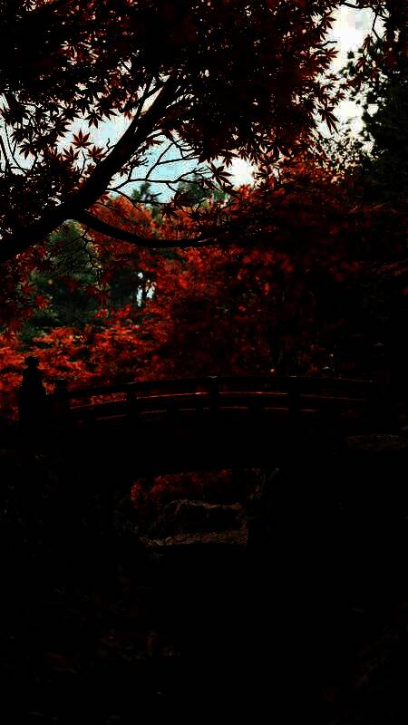 《刺客信条:影》相关画面3