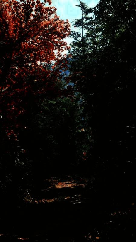 《刺客信条:影》相关画面4